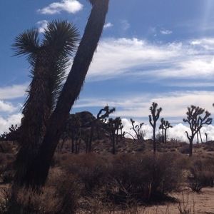 Meet your Posher, Candice